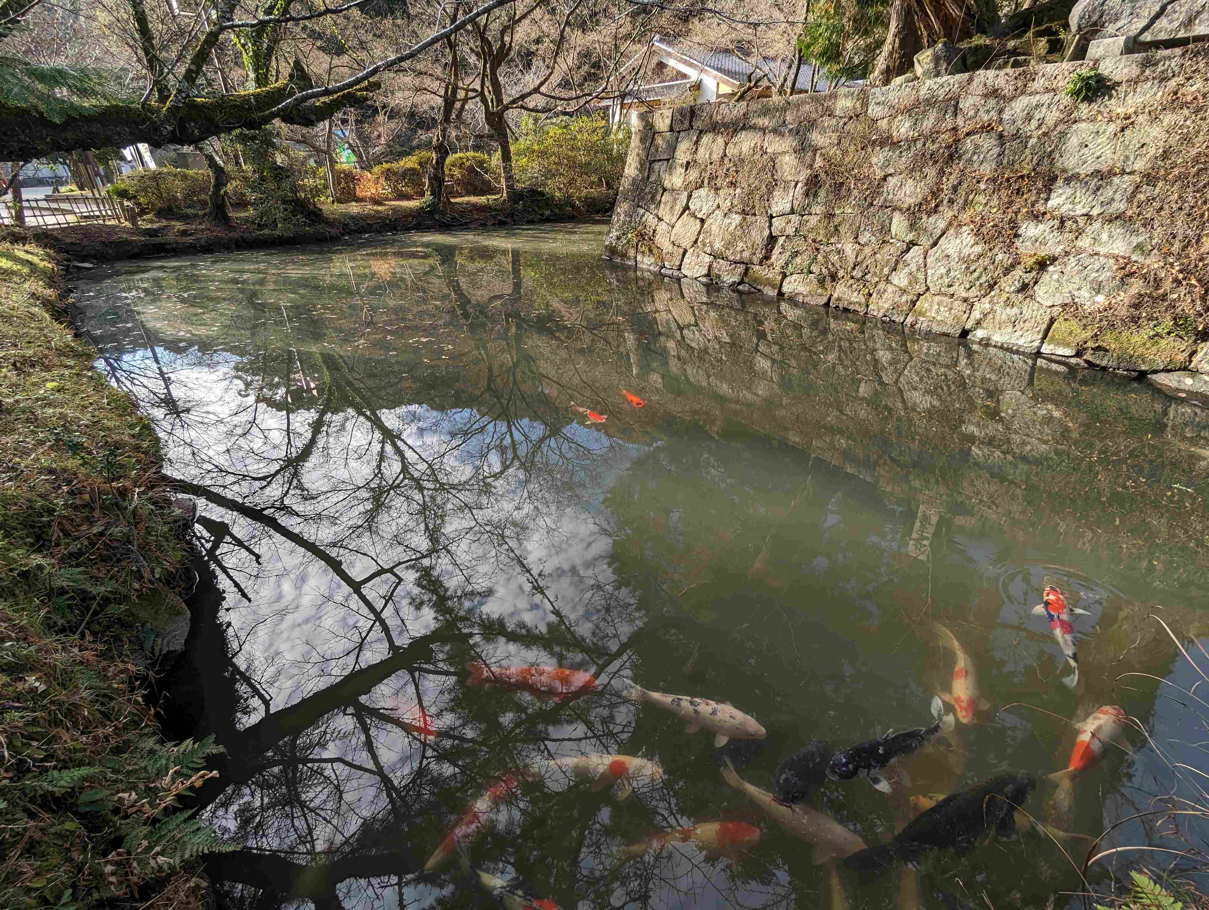 ⛩️ 마쓰다이라 동조궁(마츠다이라 토쇼구) 이미지 8